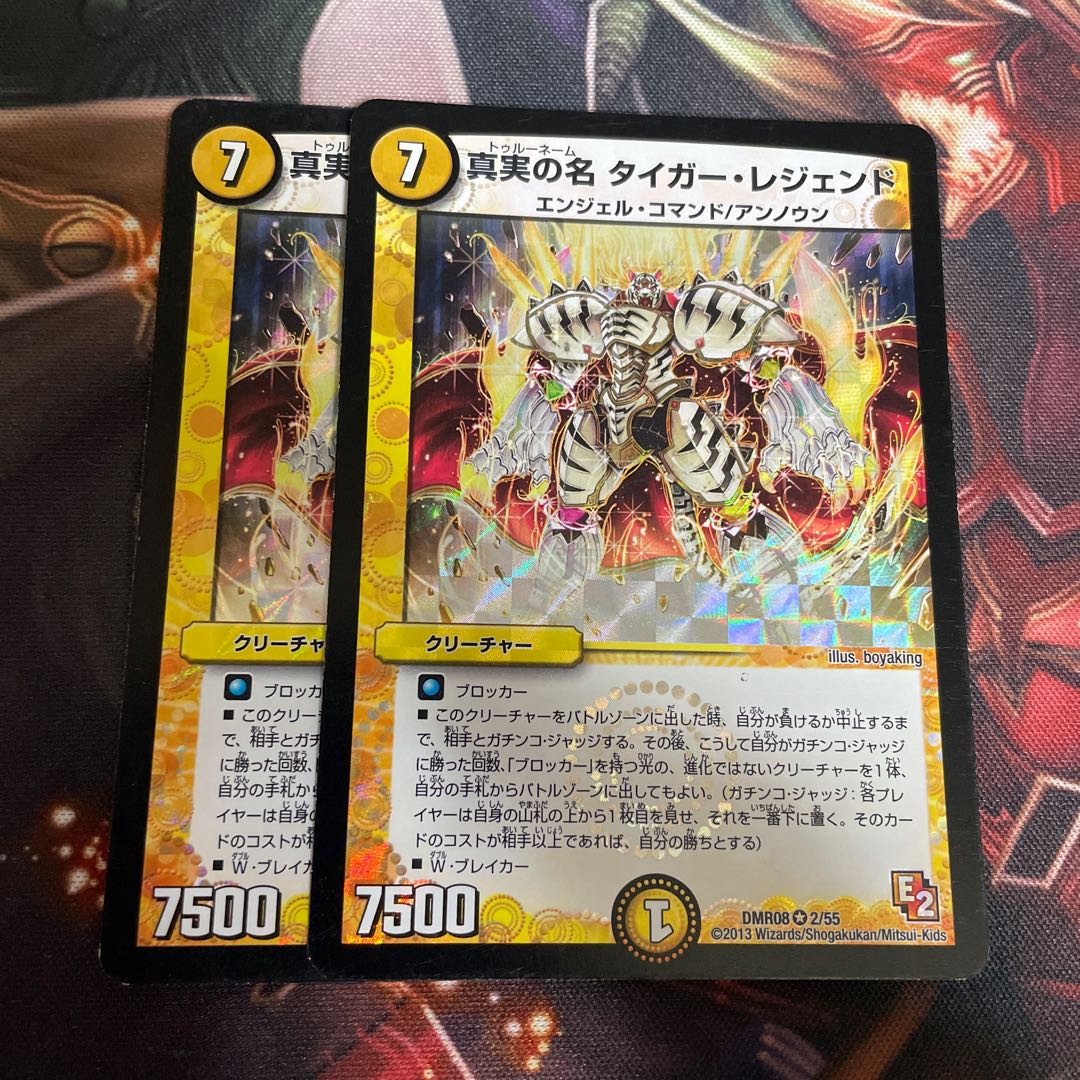 The True Name Tiger Legend VR 2/55