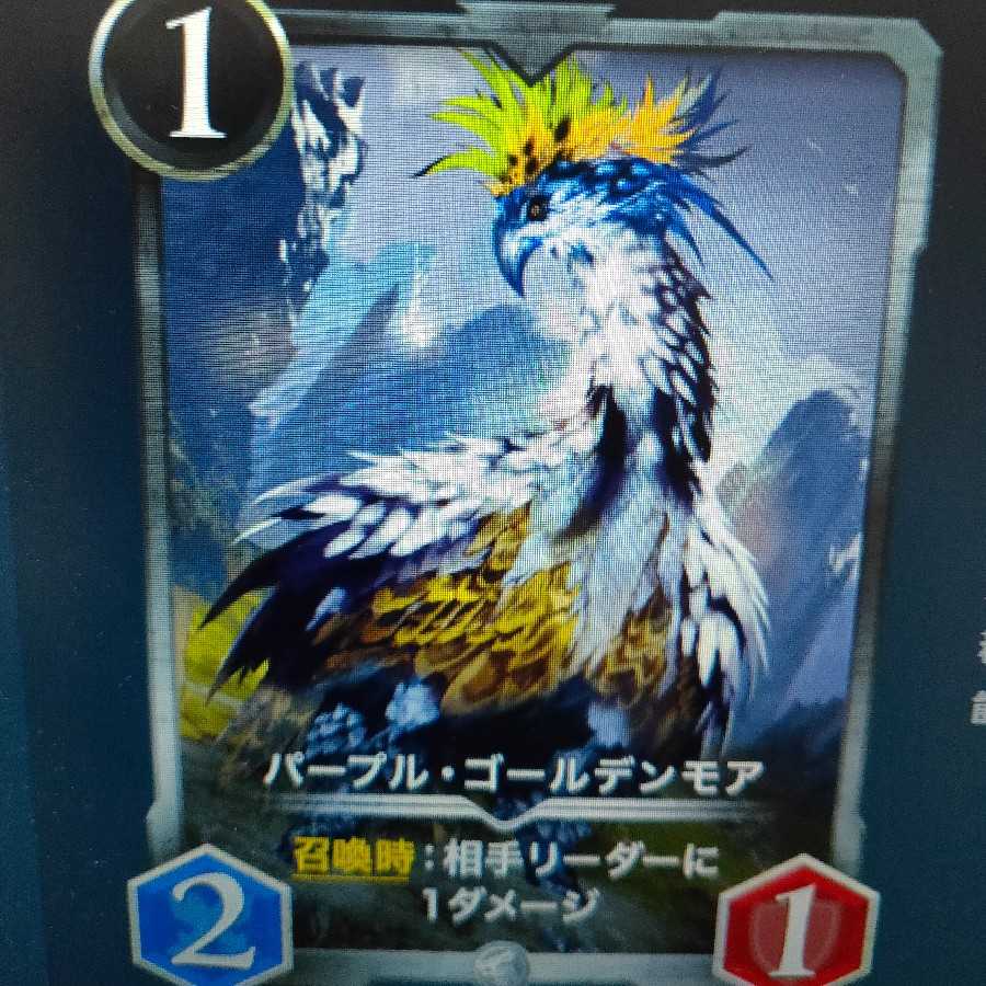 2枚組パープル・ゴールデンモア