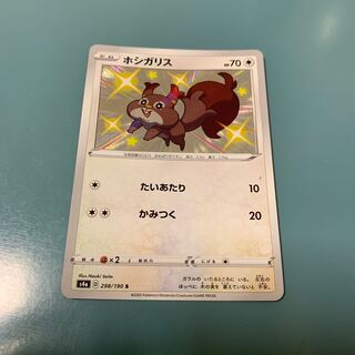 ホシガリス S 298/190