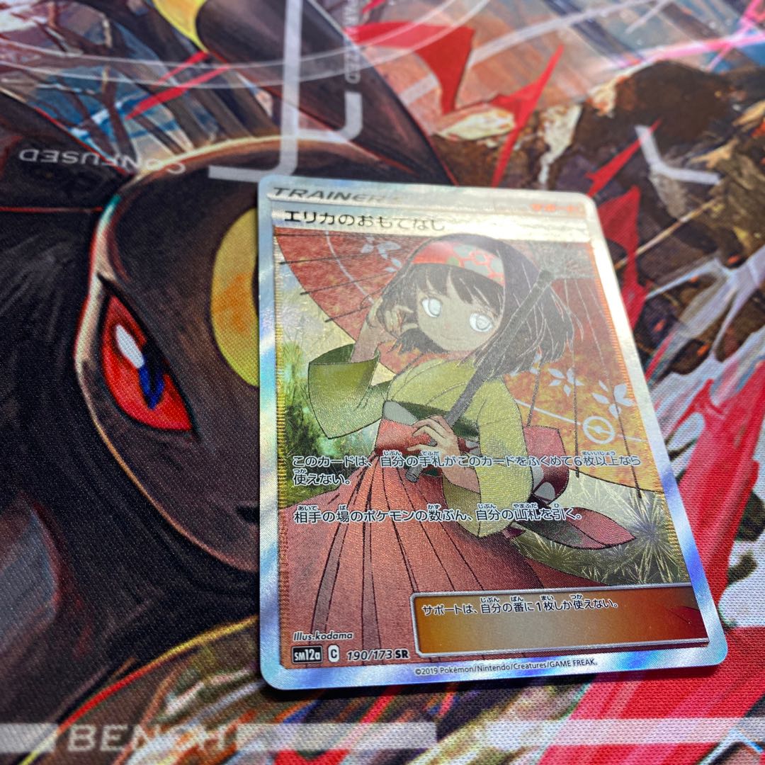 Erika's Hospitality SR 190/173