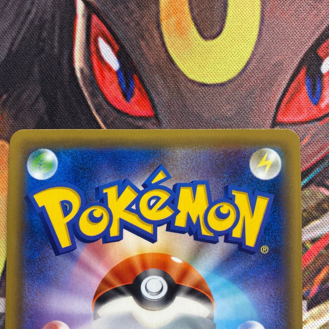 Sightseer SR 192/173