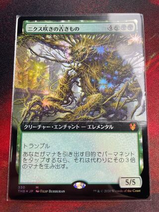 ニクス咲きの古きもの　日本語　拡張foil THB