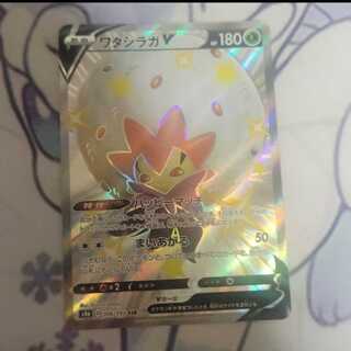 ワタシラガv ssr