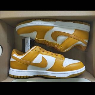 ナイキ ウィメンズ ダンク ロー ネクスト ネイチャー "カリー ブラウン" 27.5cm