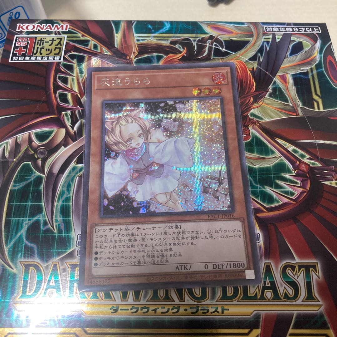 Yu-Gi-Oh! Ash Blossom & Joyous Spring Secret Rare JP016