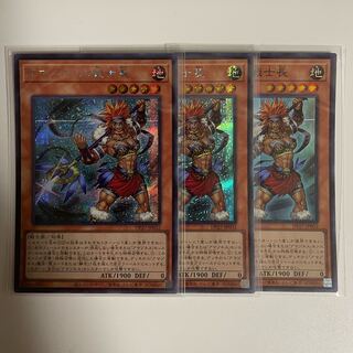 Warrior Chief of Amazones Secret Rare JP032