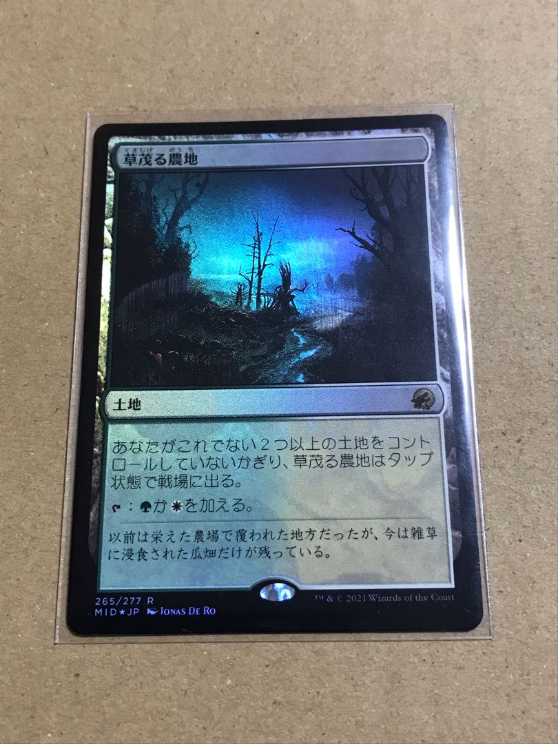 Overgrown Farmland Rare 265/277