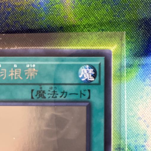 Harpie's Feather Duster holographic rare JP000