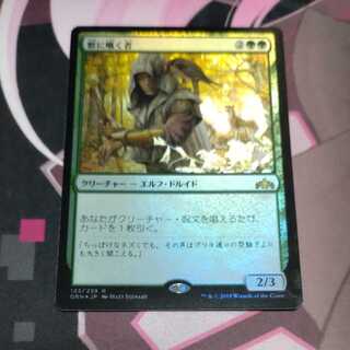 Beast Whisperer Rare Promo Pack Foil