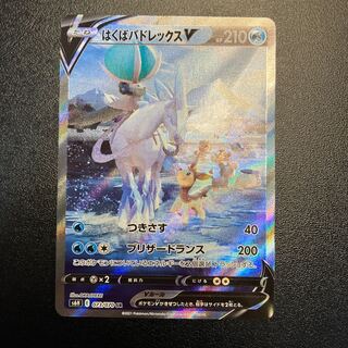 はくばバドレックスV SA