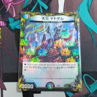 Natural Disaster Dedom (20th Black Treasure)