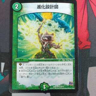 evolutionary blueprint