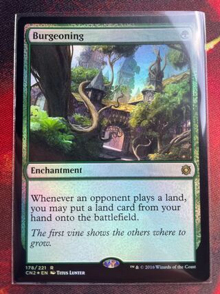 Burgeoning English foil CN2