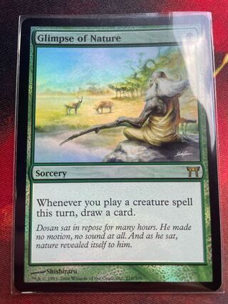 Glimpse of Nature English foil