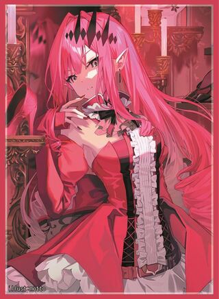 「FGO」パーヴァンシー スリーブ 新品未使用品