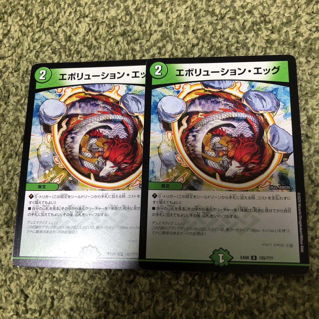 Evolution Egg, set of 2, lowest price