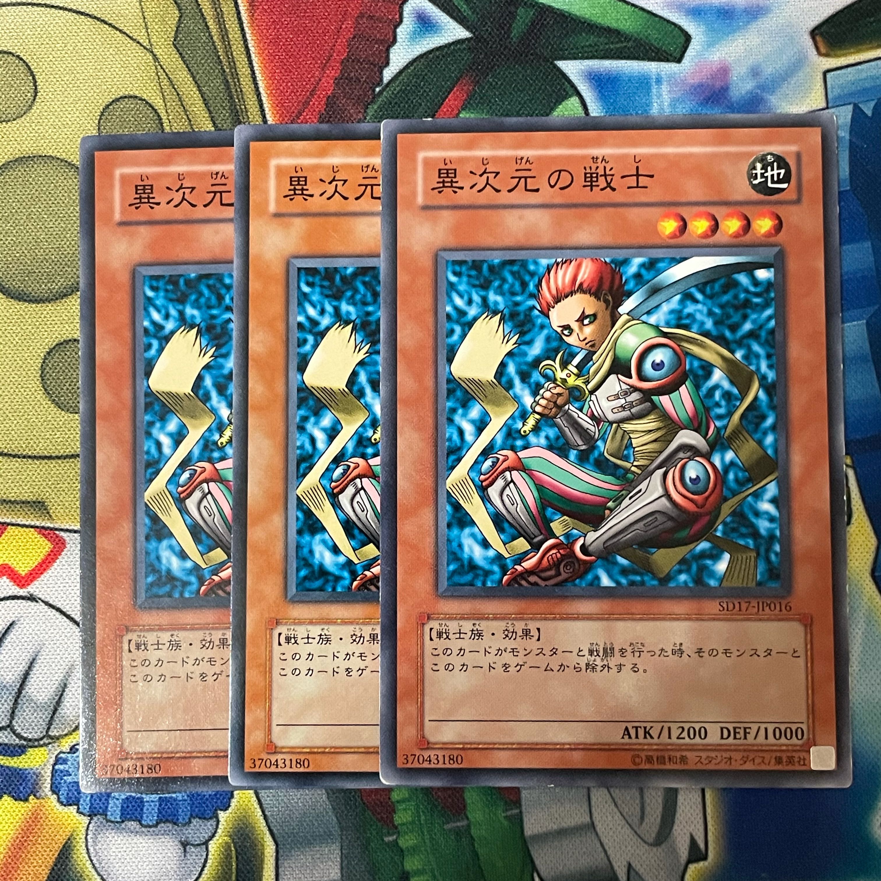 D.D. Warrior 3 sheets