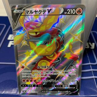 マルヤクデV SSR 309/190