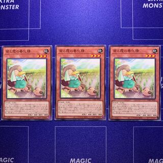 苗と霞の春化精　３枚セット