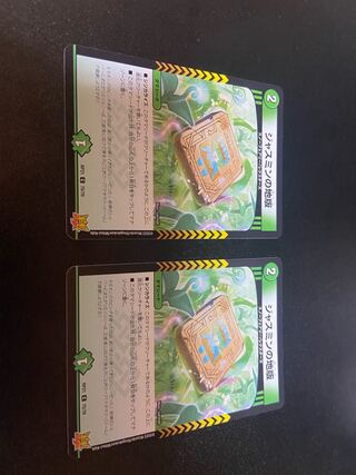 Jasmine ground plate, set of 2