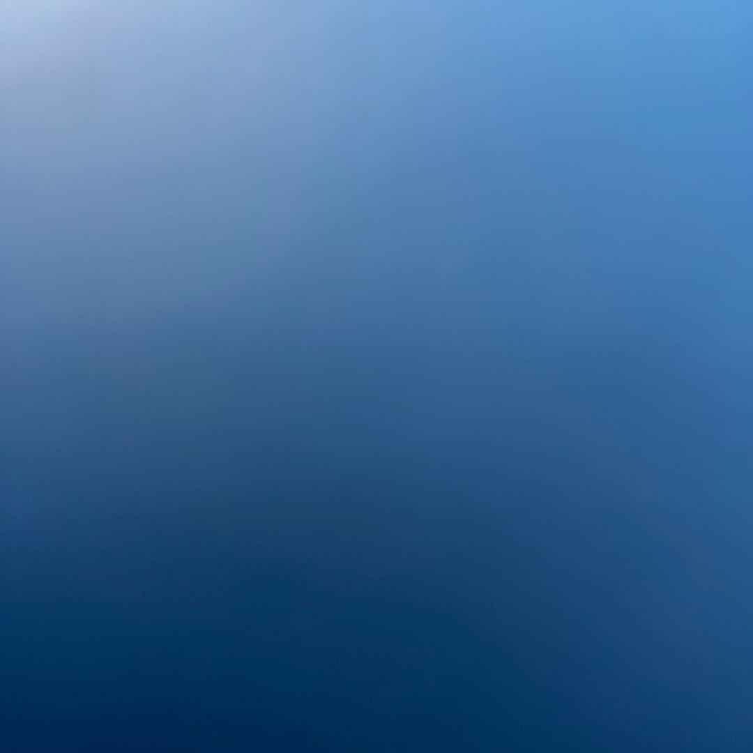 Dedicated 1988762957