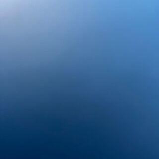 Dedicated 1988762957