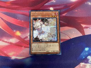 Yu-Gi-Oh! Ash Blossom & Joyous Spring SE 1 copy