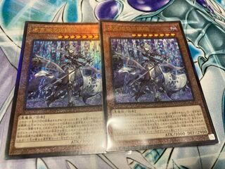 The White Silver Princess of the Labyrinth Castle