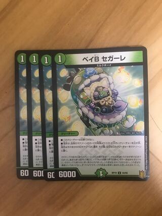 ベイB セガーレ U 44/95 1枚