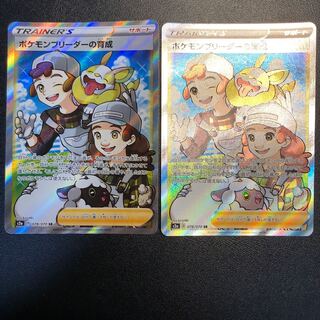 Raising Pokemon Breeder SR 078/070 2 copies
