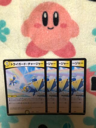 Triguard Charger 16/19