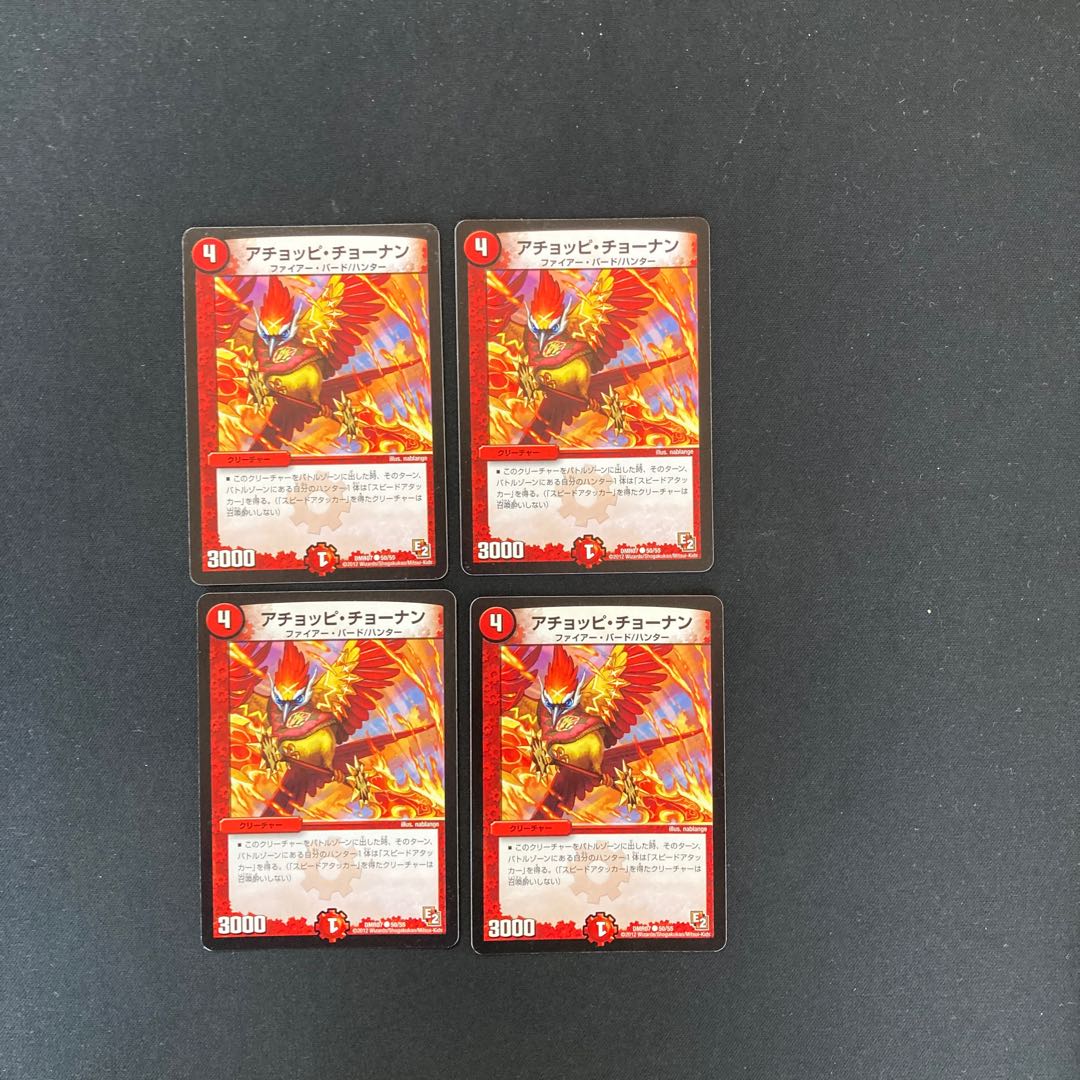 DM Achoppi Chonan Common, set of 4 (5)