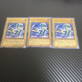 Acrobat Monkey Normal