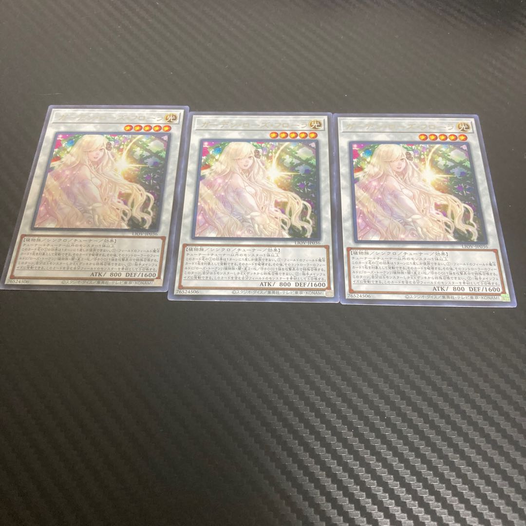 Garden Rose Flora Rare