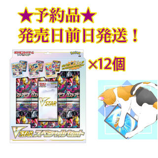 ★予約品★Vstarスペシャルセット 12個