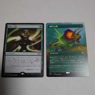Hardened Scales Normal & Borderless Set of 2