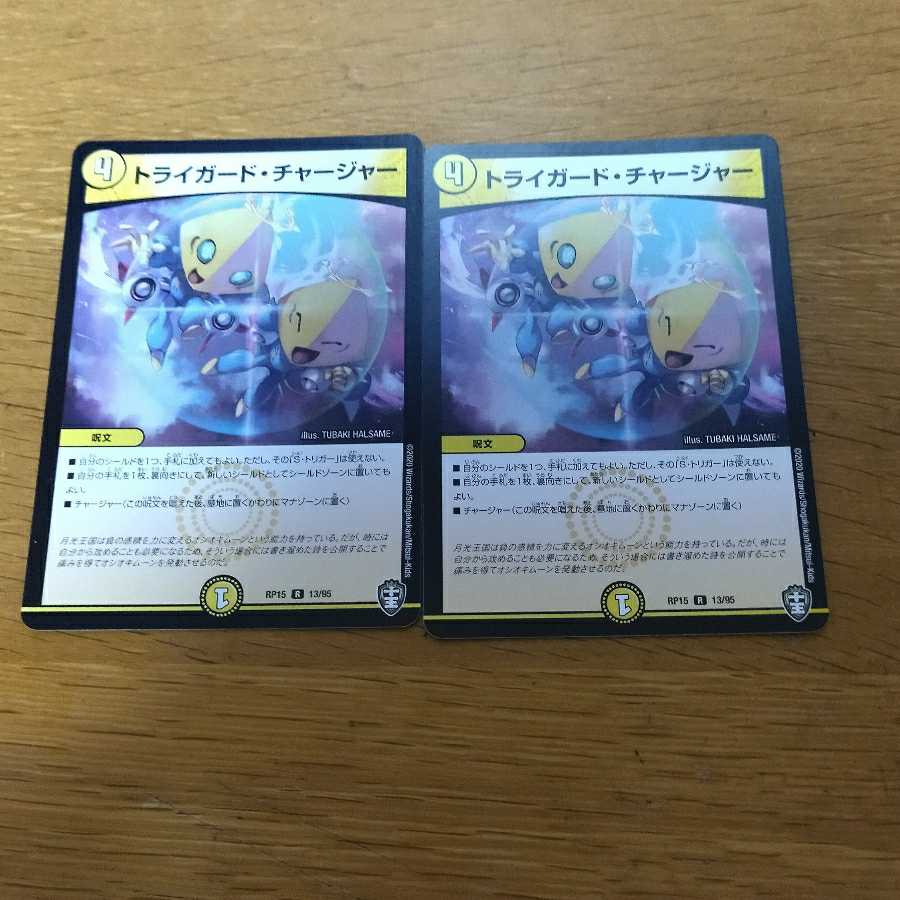 Triguard Charger 2 pieces