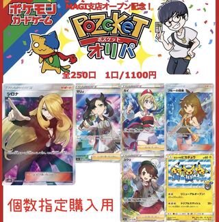 【 1481879811様専用　20口】