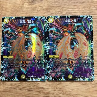 Life Wing Judgement U-foil 52/69