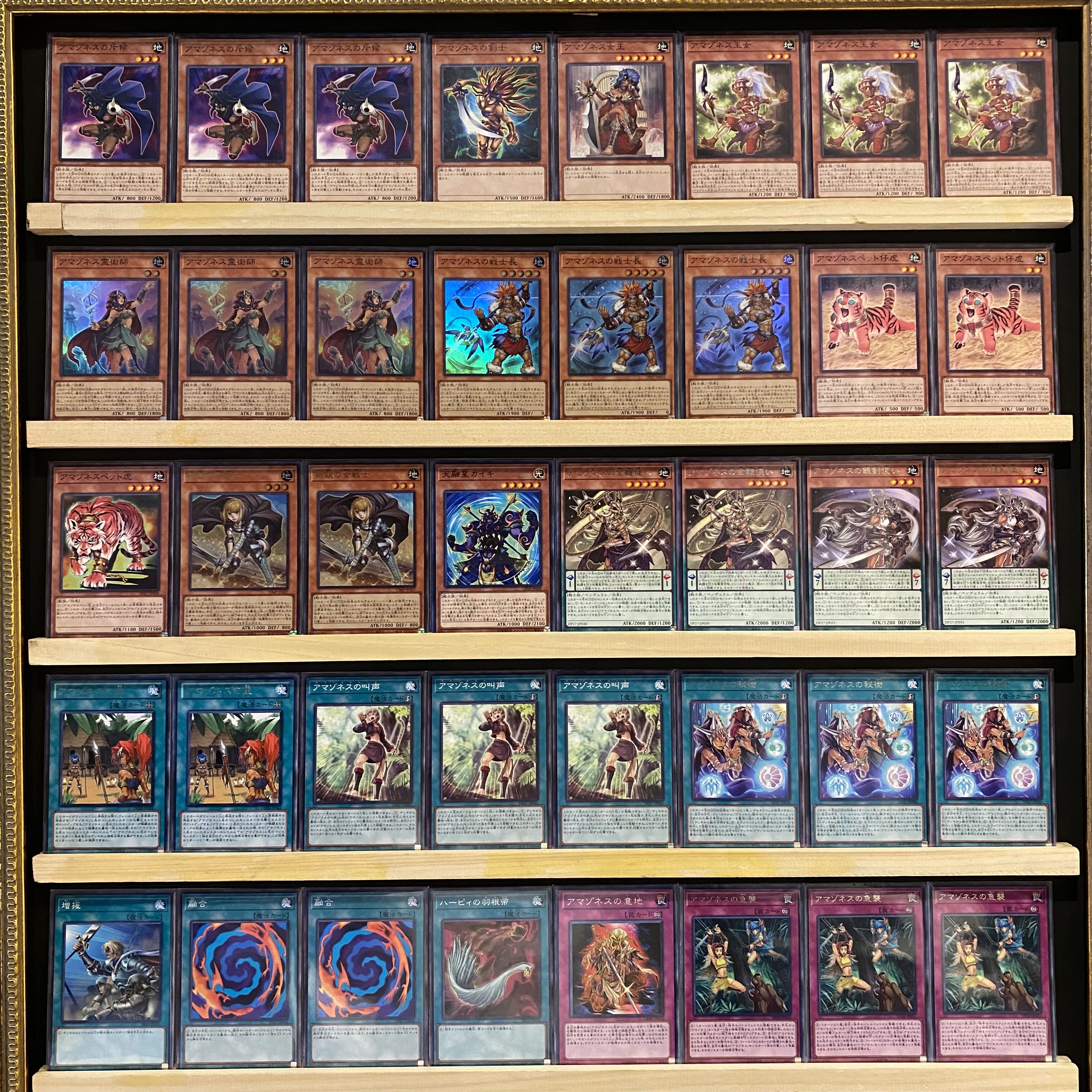 Ships immediately! [Amazoness] Deck Yu-Gi-Oh Peacock Dance Tyler Sisters Tanya Amazoness Swords Woman Amazoness Queen Amazoness Princess Amazoness Spiritist Amazoness Warrior Chief