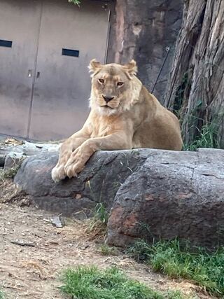 Dedicated to Mr. Kashi