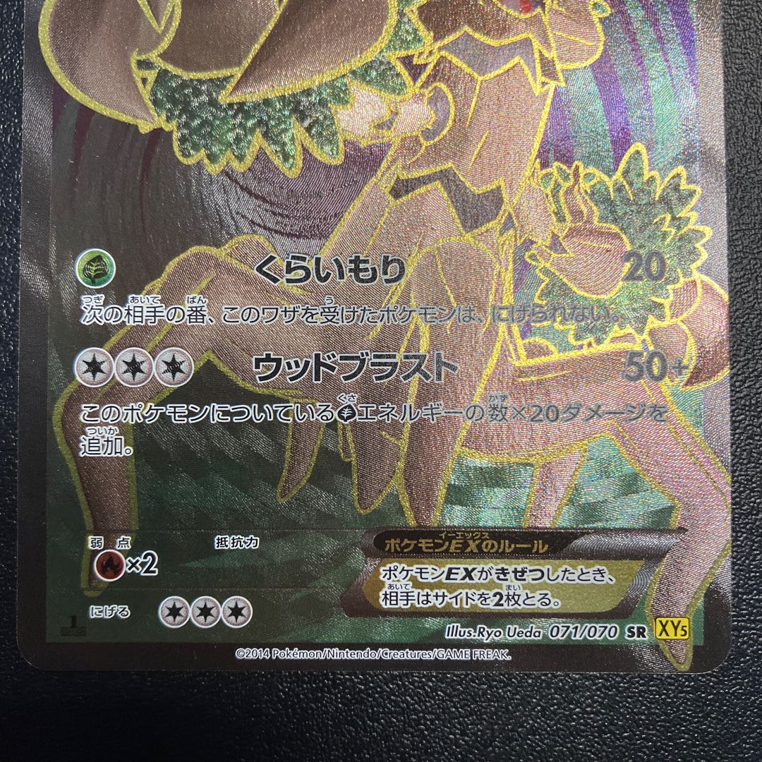 オーロットEX SR 071/070 1枚