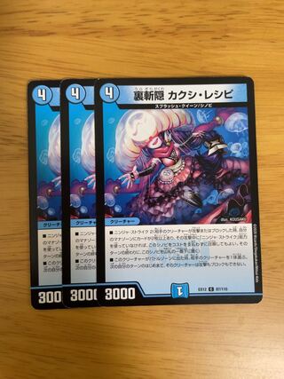 Kakushi Recipe C 87/110