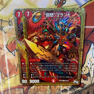 "Punishment Rage" brand, set of 2, scratches.