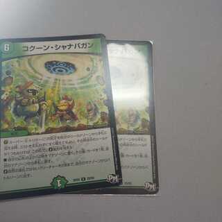 コクーンシャナバガン