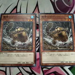 Nimble Beaver Normal 2