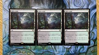 MTG Blooming Marsh/Blooming Marsh Japanese 3-card set 1枚