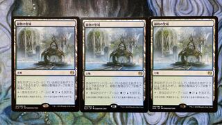 MTG Botanical Sanctum/Botanical Sanctum Japanese 3-card set