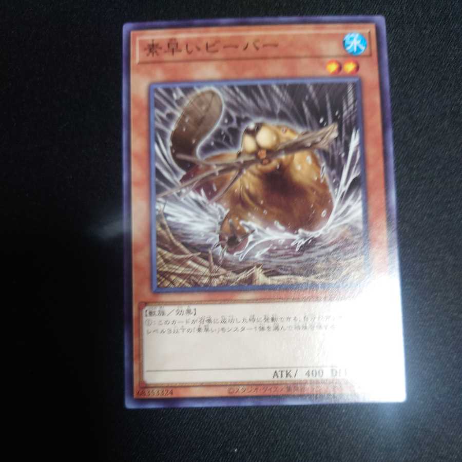 Nimble Beaver Normal