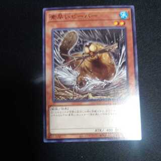 Nimble Beaver Normal